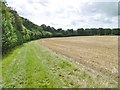 Hinton St Mary, stubble field