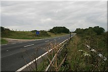 SY5292 : A35 near Askerswell by Becky Williamson