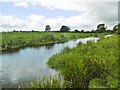 ST7815 : Hinton St Mary, River Stour by Mike Faherty