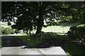 Wooden gate at South Eggardon Farm