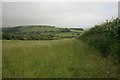 Bridleway east from Chilcombe