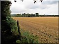 Swanwick to Butterley railway path