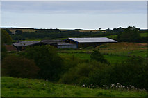 SY5597 : West Dorset : Countryside Scenery by Lewis Clarke