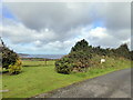 View from entrance to Bower Farm