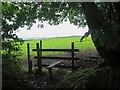 Stile and path leading to Stagwell Farm