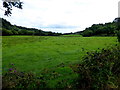 Fogart Townland