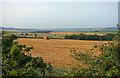 Cut and Baled. South Hazelrigg