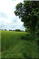 TM3570 : Footpath to Dunwich Lane by Geographer