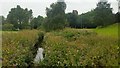 Kirkby Brook at Westvale,  Kirkby