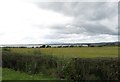 Grassland West of the Ballyquintin Farm Road