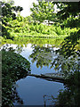 The River Colne by Old Mill Farm