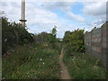 Sutton Heath Road (track) leading to Burton Head Road