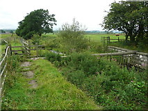 SD8257 : The Ribble Way and Wigglesworth Beck by Humphrey Bolton