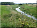 River Brant from Blackmoor Bridge