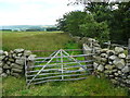 Gate on footpath from Green Hippins to Hard Head Farm