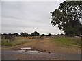 Field by Faggoters Lane, High Laver