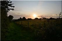 ST5401 : West Dorset : Grassy Path by Lewis Clarke