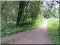 Winnall Moors Nature Reserve