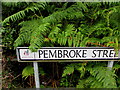 ST0086 : Ferny part of Pembroke Street, Thomastown by Jaggery