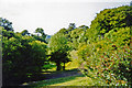 Llangybi, NE on track-bed of Aberystwyth - Carmarthen line, 2003