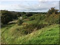 Part of Siston Common