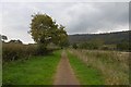 Path and former railway