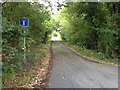 Lane leading towards Overbridge Farm, near Staplehurst