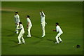 Fielders at Edgbaston Cricket Ground