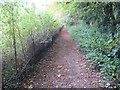 Path to Selborne Hanger