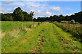 Path beside the Tweed at Crow Green