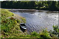 River Tweed below Coldstream weir