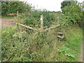 SP7202 : Official route of public footpath overgrown by David Hawgood