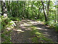 Bridleway on Seal Chart