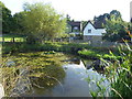 The pond at Godden Green