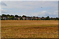 Field at Osterley Park