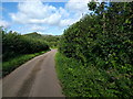 Lane near Wellesley Cottages