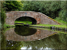 SO8687 : Flatheridge Bridge near Ashwood in Staffordshire by Roger  D Kidd