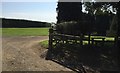 Path near the Racing Gallops