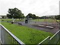 Tynybryn Park children