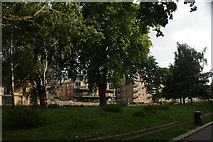 TQ3683 : View of apartments on the Hertford Union Canal from Victoria Park #4 by Robert Lamb