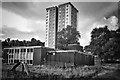 A high rise and an abandoned nursery