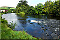 Standing wave, River Leven