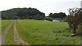 NX6845 : Footpath to Torrs point by Peter Mackenzie
