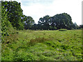 Public footpath FP3377, Tinsley Green