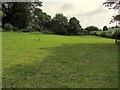 Castle Meadow, Totnes