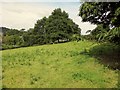 Castle Meadow, Totnes