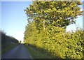 Hill Lane Approaching Sturmer