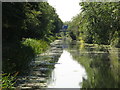 The Grand Union Canal (Slough Arm) east of the M25 bridge