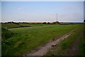 West Dorset : Grassy Field