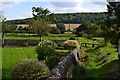 River Swift at Hurstbourne Tarrant